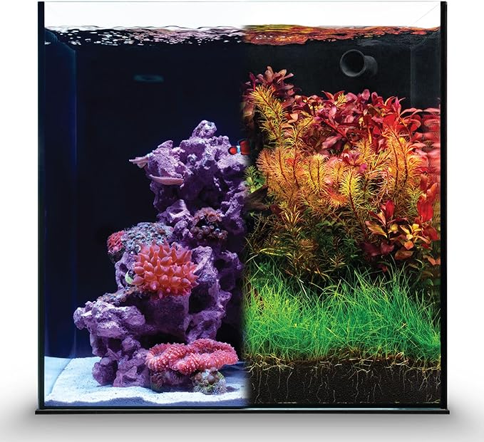 Ultum Nature Systems Dual AIO - Freshwater/Saltwater Compatible All in One Rimless Tank with Triple Chamber Filtration System, Integrated Filter Aquarium w/Leveling Mat - 17 Gallon, 40A, Black