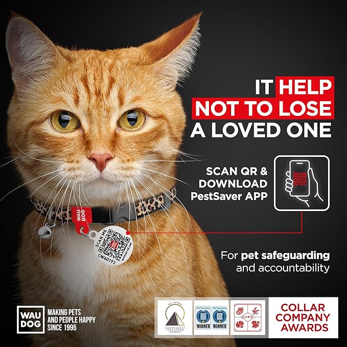 WAUDOG Nylon Cat Collar with Removable Bell and QR ID Tag for Small, Medium and Large Breeds Adjustable Long Lasting Durable Kitten Collars Boy & Girl