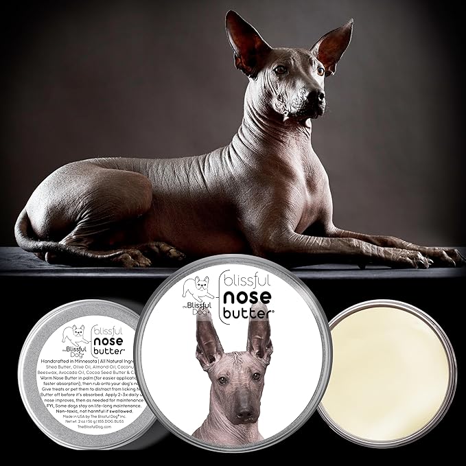 The Blissful Dog Xoloitzcuintli Nose Butter for Dry, Cracked Skin, Lick-Safe Dog Nose Balm with Moisturizing Shea Butter, Almond, Olive, and Essential Oils, Pet Supplies, Uncented, 1 oz.