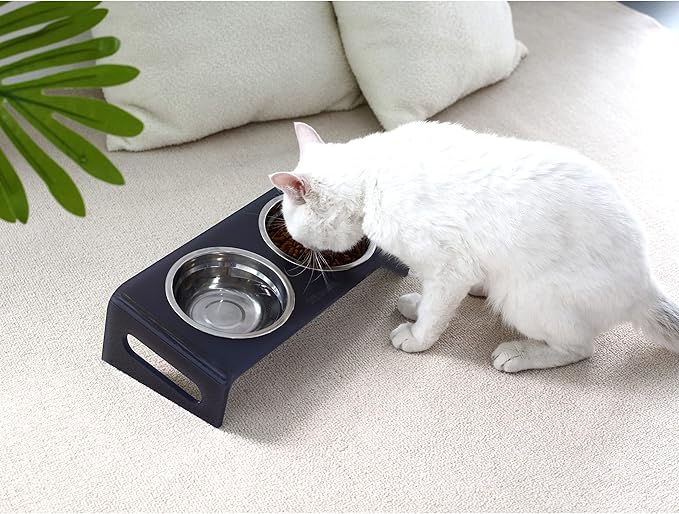 Tilted Raised Elevated Food and Water Bowls Stand for Cat or Small Dogs - Puppy's Clear Acrylic Stainless Steel Dishes Holder for Boy or Girl Pet,Modern,Durable and Easy to Clean by WBhonghui (Grey)