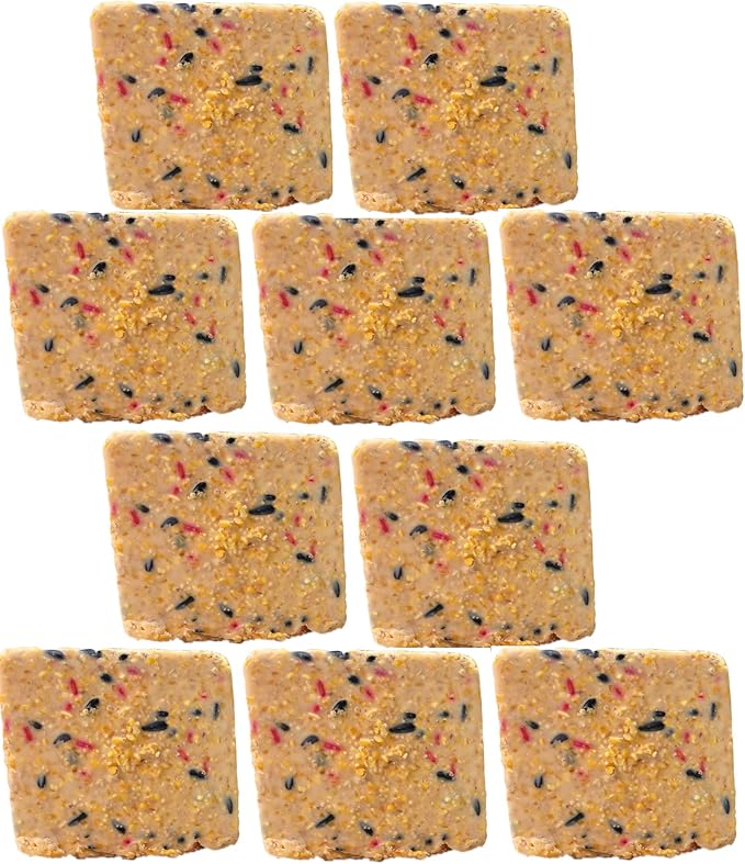 ST. ALBANS BAY SUET PLUS Suet Cake Variety Packs | 10 Berry Suet Cakes for Wild Birds 11 Oz. Each | (Berry, 10 Pack)