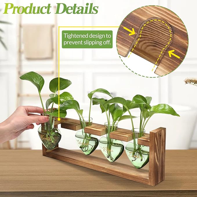 Plants Propagation Stations Plant Terrarium Kit for Bathroom Glass Planters for Indoor Plants Bathroom Decor Accessories - Relax Soak Unwind Breathe