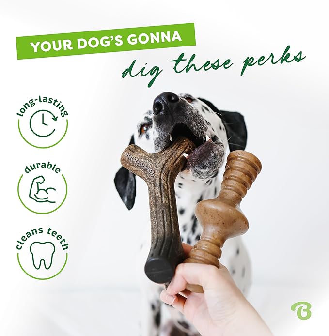 Benebone 2-Pack Maplestick/Zaggler Durable Dog Chew Toys, Real Maplewood, Real Bacon, Made in USA Small