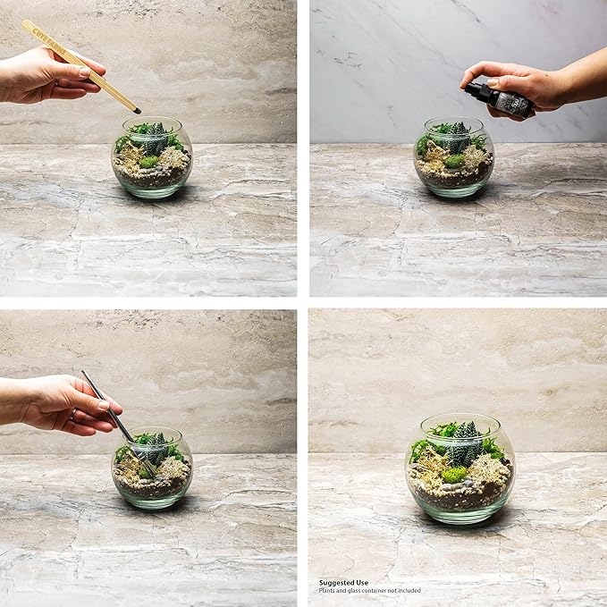 Cute Farms Terrarium Starter Kit | Moss, Vermiculite, Soil, Pebbles, Plant Food, & Finishing Tools (Large Kit + Crystals)