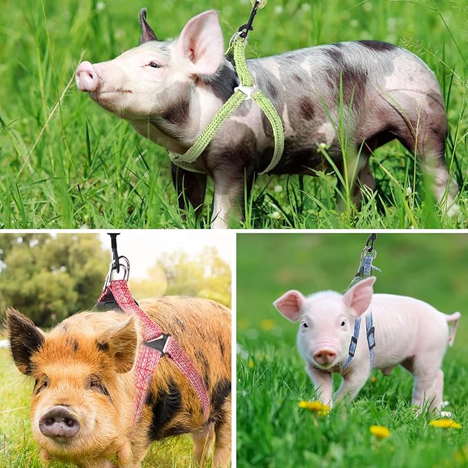 Mini Pig Harness, Adjustable Small Pig Harness with Leash Infinity Style Lead and Soft Foam Handle for Small to Medium Pet Pigs Walking Training Jogging (Green, S)