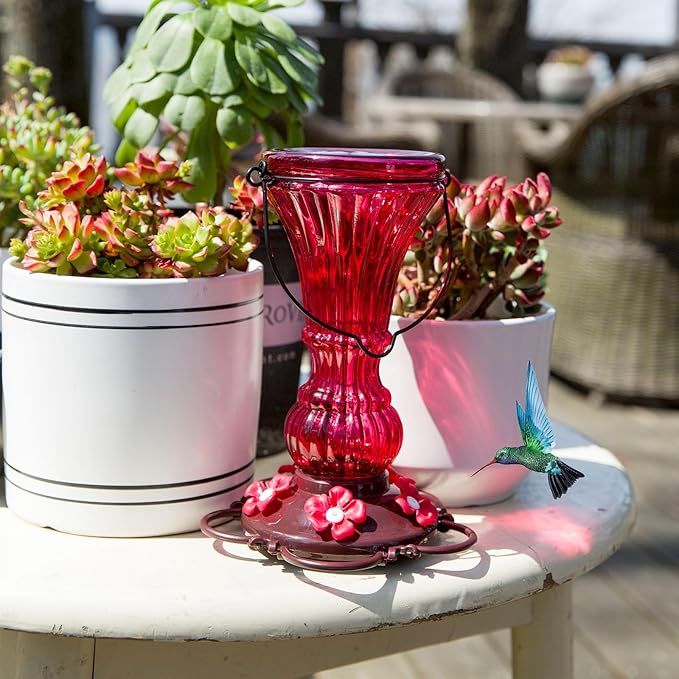 Glass Hummingbird Feeders for Outdoors Hanging Red Humming Bird Nectar Feeder with Perch, 20 Ounces Capactiy with 5 Plastic Flower Feeding Ports & Perches, Outsides Decor Garden