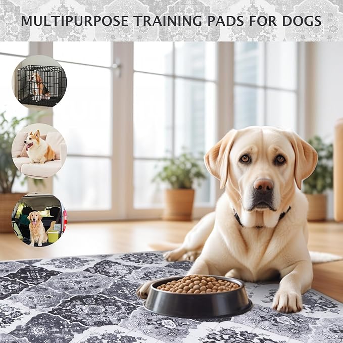 IEUUMLER Washable Pee Pads for Dogs, 2 Pack Reusable Pee Pads for Dogs Non-Slip Grip, Super Absorbent Waterproof Puppy Pads for Potty Training, Playpen, Crate, Whelping Box EU011 Black Grey, 36x31
