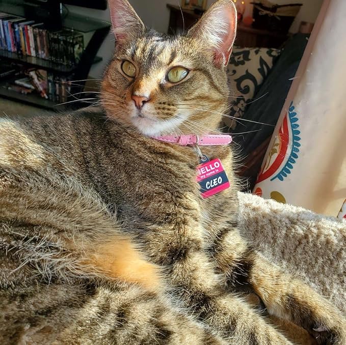 PUPTECK 2 PCS Soft Genuine Leather Cat Kitten Collar with Bells Adjustable for Girl Boy Cats Puppy, Rose Pink