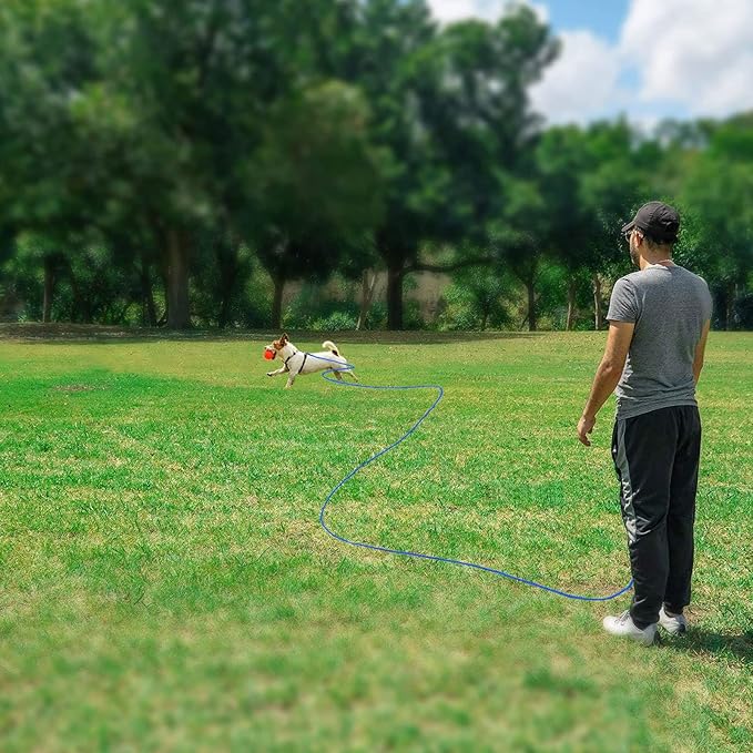 Rypet Reflective Cat Long Leash - 50 FT Escape Proof Walking Leads Yard Long Leash Durable Safe Personalized Extender Leash Traning Play Outdoor for Kitten, Puppy, Rabbit and Small Animals