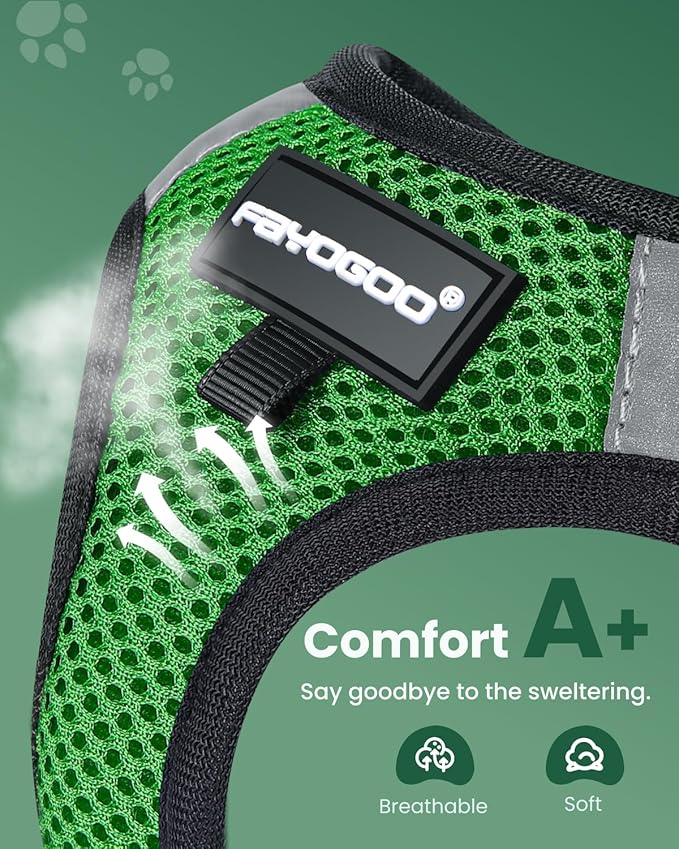 FAYOGOO Cat Harness and Leash Set | Upgrade Step-in Escape Proof Harness | Lightweight Soft Vest, No-Choke Design for Walking, Travel, Camping (Neon Green)