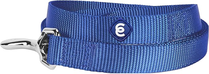 Blueberry Pet Essentials Marina Blue Dog Leash for Large - 4' * 1" Dogs | Heavy Duty Nylon Lead | Lightweight Puppy & Cat Leash for Walking & Training