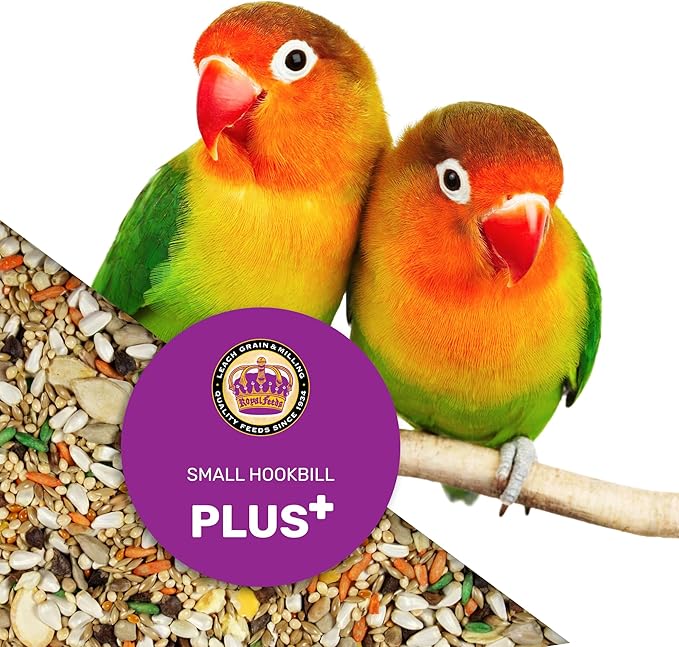 Small Hookbill Plus 5 Lbs, Bird Food for Small Hookbill, Premium Bird Seeds, Supports Growth Energy and Digestive Health, Nutrient-Rich Parrot Birdseeds with Vitamins & Minerals, Healthy Balanced Diet