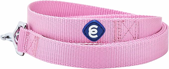 Blueberry Pet Essentials Fuchsia Pink Dog Leash for Small -5' * 5/8" Dogs | Heavy Duty Nylon Lead | Lightweight Puppy & Cat Leash for Walking & Training