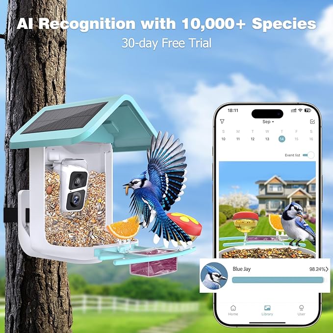 Bird Feeder with Camera: Solar Powered Smart Bird Camera Feeder 2K Live Feed for Backyard - AI Identify Auto Capture Videos, Gifts for Birdlovers Mom Dad, 2.4GHz WiFi