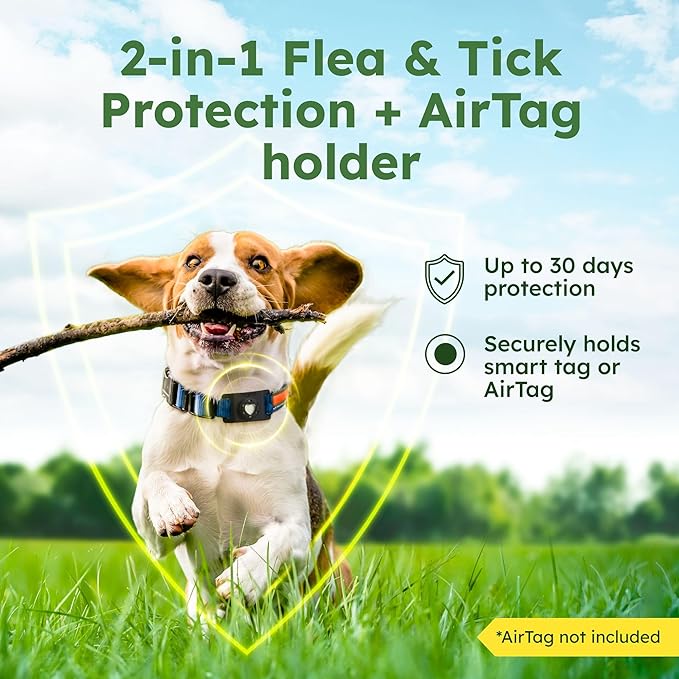 BugMD Paw Guardian Flea & Tick Pendant (2-Pack) with AirTag Holder – Plant-Based Flea & Tick Prevention for Dogs & Cats – Pet Collar Tag & GPS Tracker Holder for Cats & Dogs – Black