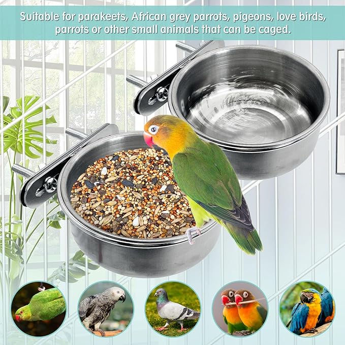PINVNBY 2 PCS Stainless Steel Bird Bowl Parrot Food Water Bowls with Clamp Holder Bird Feeder Dish Cups Crate Bowls for Cockatiel Pigeons Conure Budgies African Greys (Double Screws Size: M)