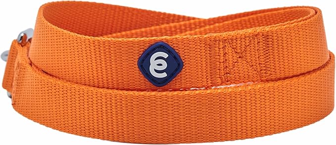 Blueberry Pet Essentials Orange Vermilion Dog Leash for Medium - Small -5' * 5/8" Dogs | Heavy Duty Nylon Lead | Lightweight Puppy & Cat Leash for Walking & Training