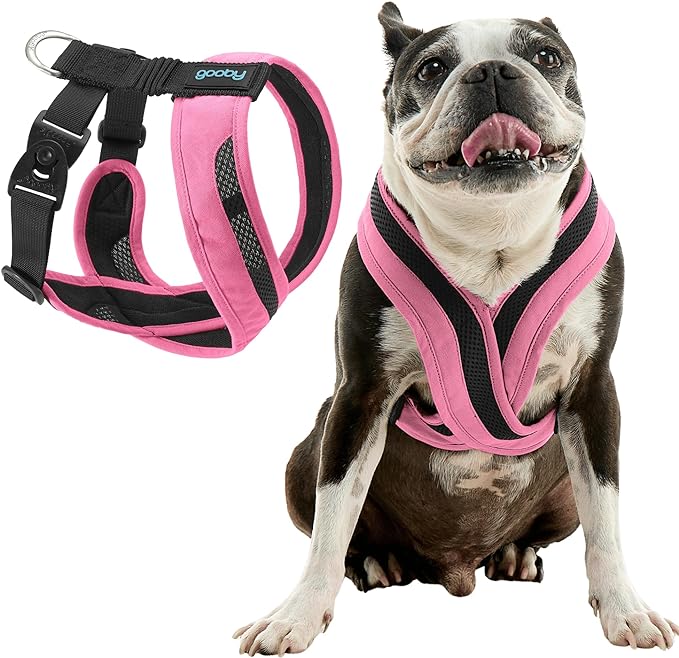 Gooby Comfort X One Dog Harness - Head-in Dog Harness for Small & Medium Sized Dogs - Escape-Free & Choke Free - Breathable Mesh, Shock Absorbing, Easy Snap & Swivel Buckles - Flamingo Pink, Medium