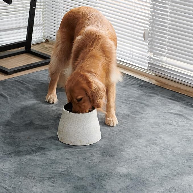 Dog Pee Pad Washable Extra Large, Instant Absorb Thicker Training Pads Non-Slip Pet Playpen Mat, Waterproof Reusable Floor Mat Ideal for Puppy Senior Dog Whelping Incontinence Housebreaking 65x48 Inch