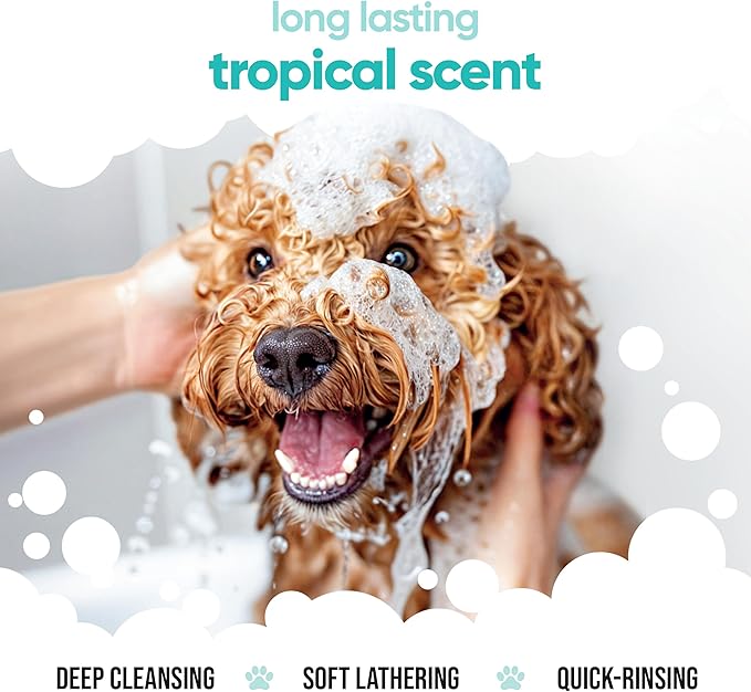 Tropical Dog Shampoo by Buddycare | Deep Cleansing Shampoo for Dogs | Tropical Scented | with Aloe Vera and Pro Vitamin B5 (33.8oz)