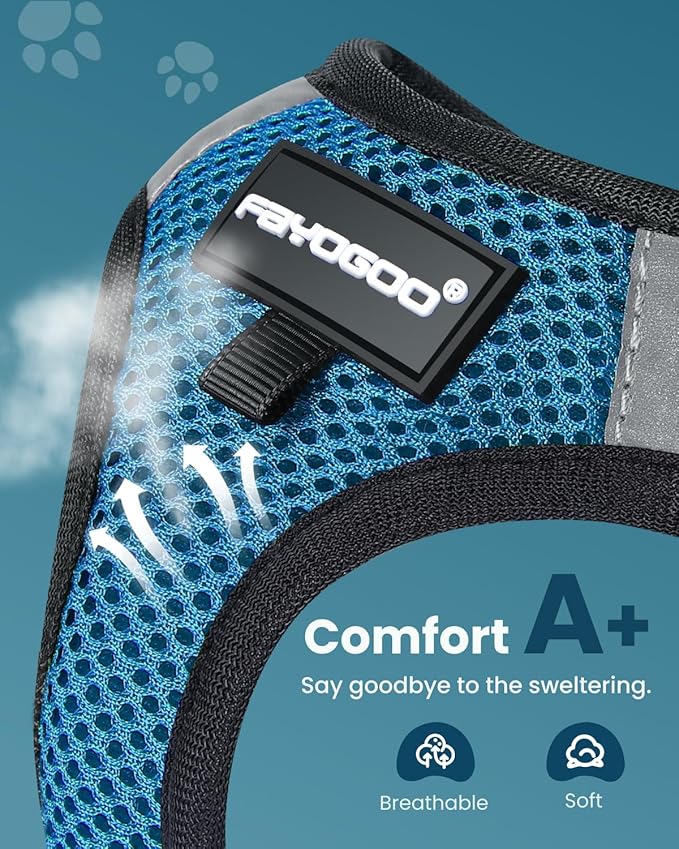 FAYOGOO Cat Harness, Cat Leash and Harness Set for Walking Escape Proof, Harness for Small Cats/Small Dogs, Large Kitten/Puppy Harness and Leash, Harness for Cats S-XXL(Tranquil Teal, X-Large)