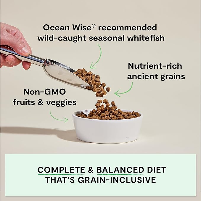 Open Farm, Ancient Grains Dry Dog Food, Protein-Rich & Nutrient Dense, 90% Animal Protein Mixed with Non-GMO Fruits, Veggies and Superfoods, Catch-of-The-Season Whitefish Recipe, 11lb Bag