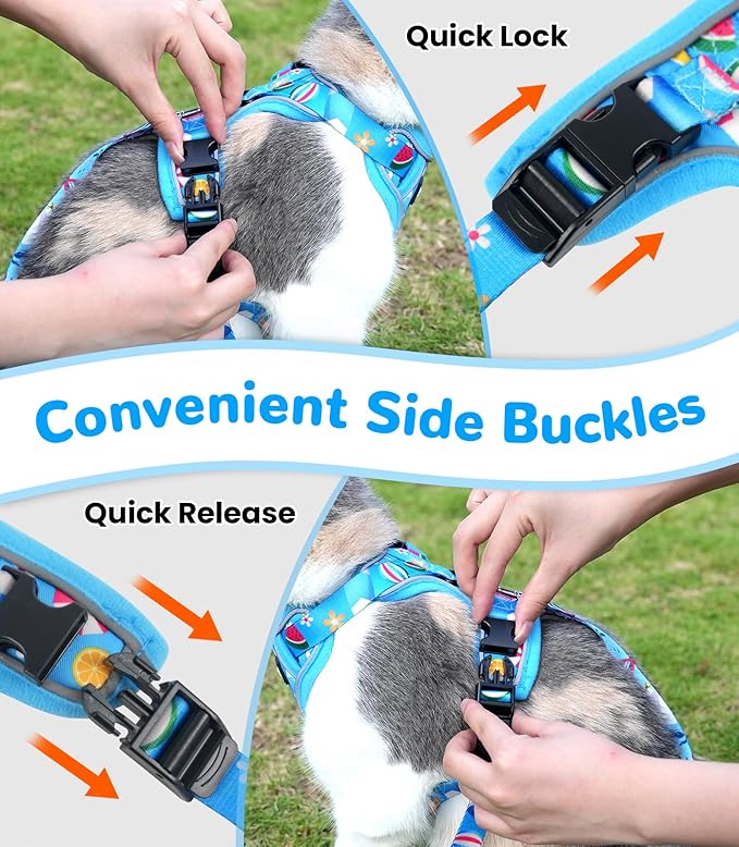 Halypet Cat Harness and Leash Set for Walking, Escape Proof Adjustable Vest Harness with 3-in-1 Integrated Buckles, Easy Control Soft Breathable Mesh with Reflective Strips for Cats, M, Ocean Blue