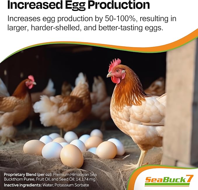 Chicken & Bird Supplement with Sea Buckthorn to Improve Egg Quality & Increase Egg Production (1-Month Supply for 20 Chickens)
