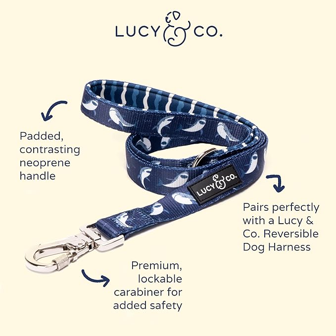 Lucy & Co. 5 Foot Designer Dog Leash - Best for Big, Small, or Medium Dogs - Puppy Leash - Shark Attack Pattern