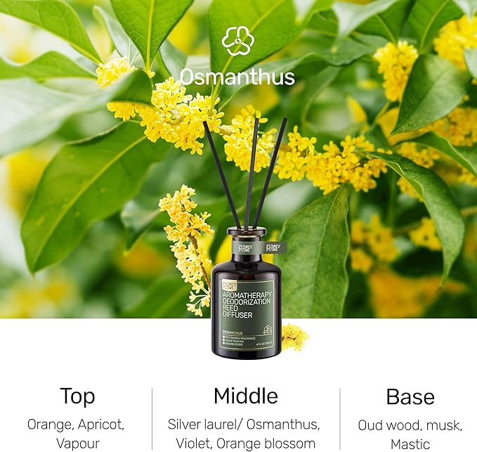 Reed Diffuser for Pet Odor Elimination, Osmanthus, Non-Toxic & Pet-Friendly Air Freshening, 6 Oz