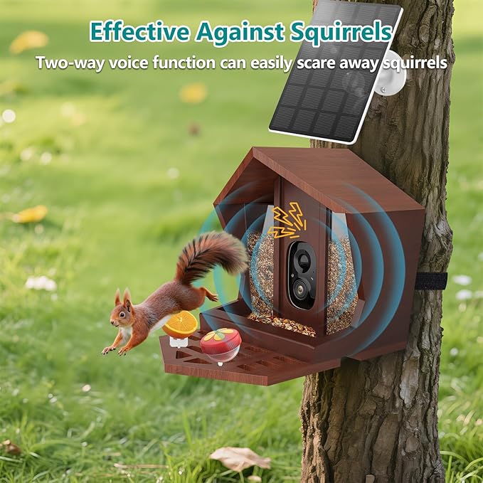 Smart Bird Feeder with Camera Solar Powered AI Identification 10,000+ Bird 2K UHD Video Live Instant Arrival Alerts and Real-Time Motion Detection Weatherproof Bamboo for Outdoor Birds Lovers