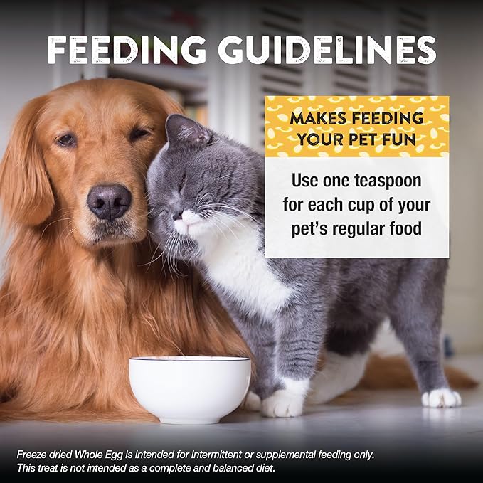 Northwest Naturals Freeze-Dried Whole Chicken Egg Functional Topper - for Dogs & Cats - Healthy, 1 Ingredient, Human Grade Ingredients, All Natural, Proudly Made in USA, 4 Oz (Pack of 2)