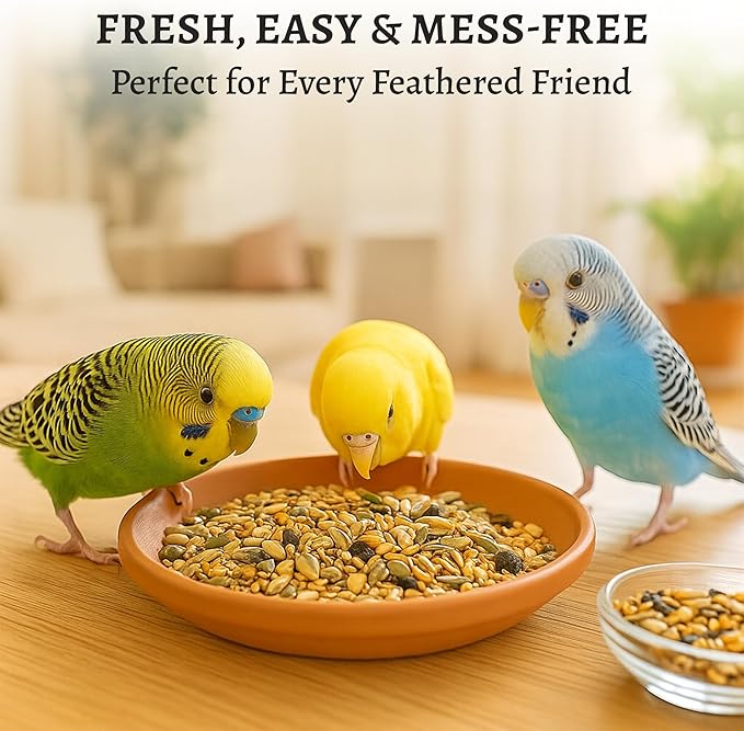 Premium Bird Seed Parakeet Food | Organic Parakeet Bird Seeds with Oat Groats, Amaranth & Super Veggies | Perfect Bird Food, Pretty Parrot & Budgie Food | Reusable Tin (1lb)
