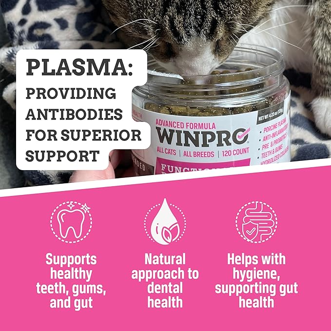 WINPRO - Tasty Dental Bites for Cats, Plasma-Powered Formula for Teeth Cleaning, Gum Support & Dental Care, Probiotic Blend Catnip Treats for Gut Health, All Cat Breeds, 120 Count, Made in USA