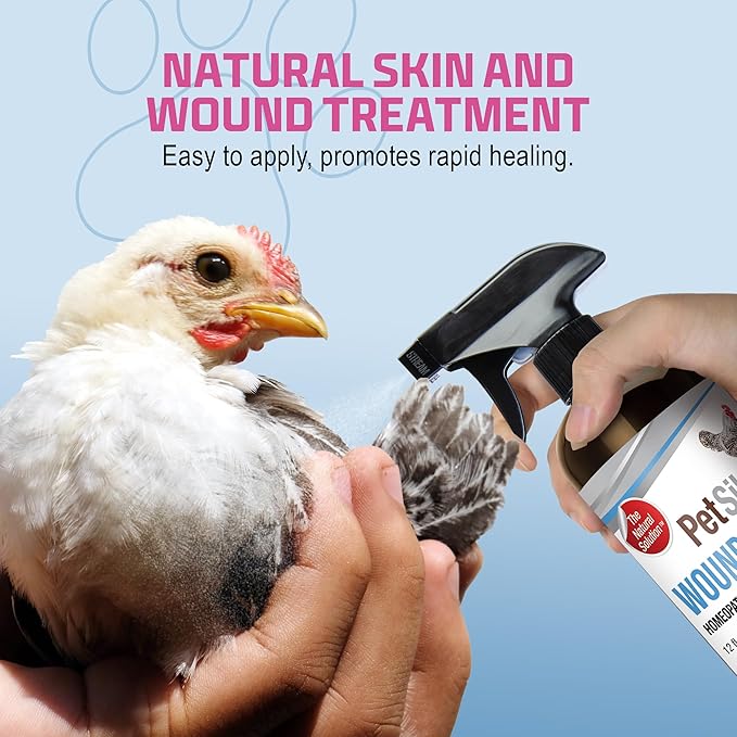 PetSilver Chicken Wound Spray for Chickens & Birds - Patented Silver Solution - Silver Spray for Wounds, Pecking Sores, Bumblefoot, Cuts, Burns, & Skin Irritations - Chicken Care - USA Made - 12 fl oz