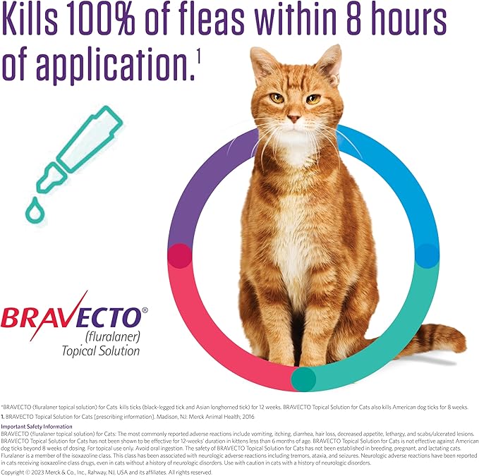 BRAVECTO Topical Solution for Cats, Flea & Tick, 12 Week Supply, >6.2-13.8 lbs., Blue Box