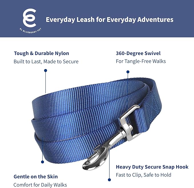 Blueberry Pet Essentials Royal Blue Dog Leash for X-Small -5' * 3/8" Dogs | Heavy Duty Nylon Lead | Lightweight Puppy & Cat Leash for Walking & Training