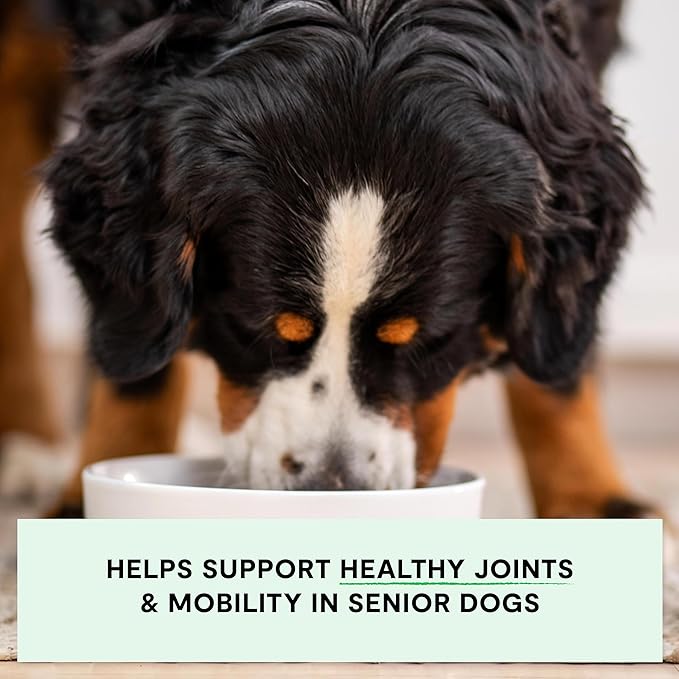 Open Farm, Grain-Free Dry Dog Food for Senior Dogs, Complete & Balanced Kibble to Support Joints & Mobility, Sustainably & Ethically Sourced Ingredients, Chicken & Turkey Recipe for Seniors, 4lb Bag