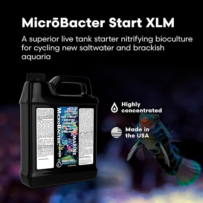 Brightwell Aquatics MicroBacter Start XLM - Concentrated Freshwater Nitrifying Bacteria - Quick Start Fish Tank Starter, Lift Microbe Levels & Water Filtering - Aquarium Water Treatments, 135.2 fl oz
