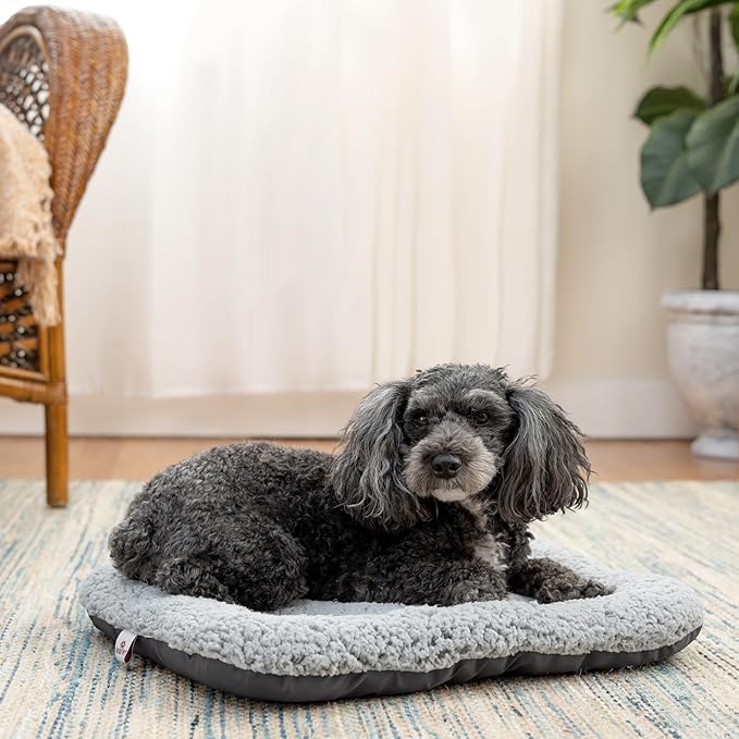 SportPet Designs Foldable Travel Cat Carrier - Front Door Plastic Collapsible Carrier Collection, Waterproof Bed (Pack of 2)