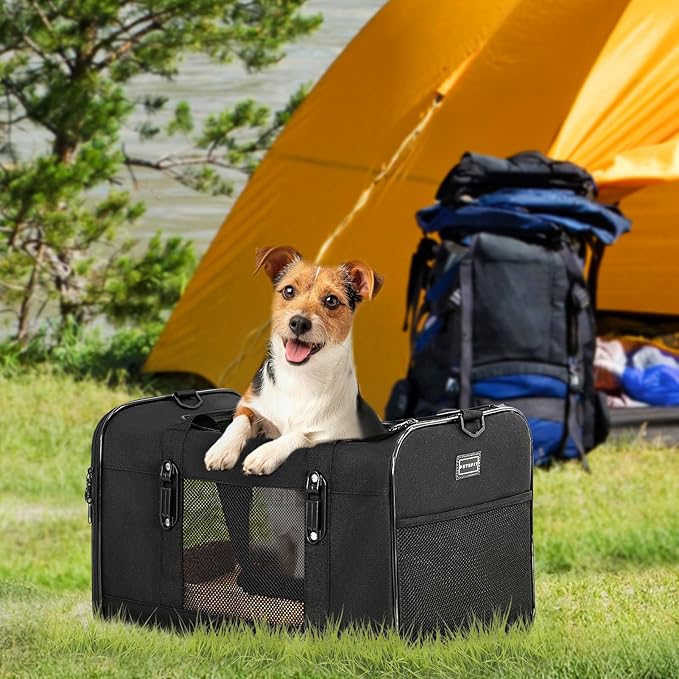 Petsfit 19x12x12 Pet Carrier for Large Cats (up to 20 lbs), Soft-Sided Small Dog Travel Carrier, Upgraded with Patented Buckle and Soft Padding, Ideal for Car Road Trips,Black