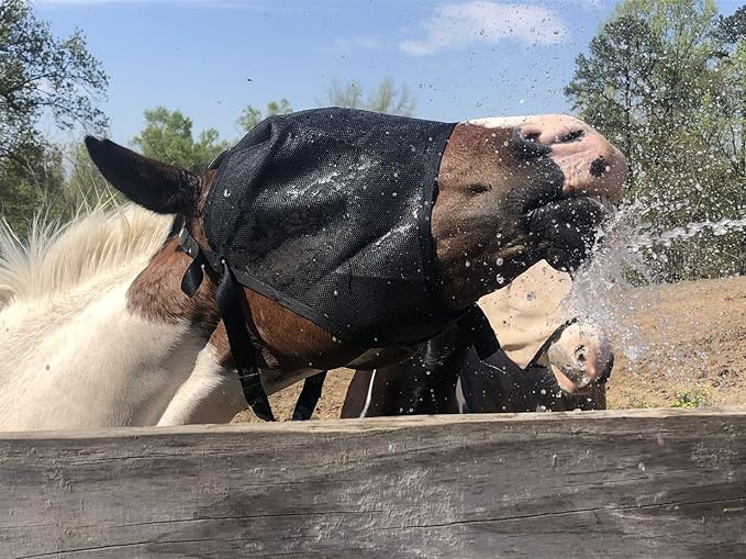 EquiVizor 95% UV Eye Protection (Mini) Standard Horse Fly Mask - Help with Uveitis, Corneal Ulcer, Light Sensitivity. Designed to Stay On Your Horse, Off The Ground.