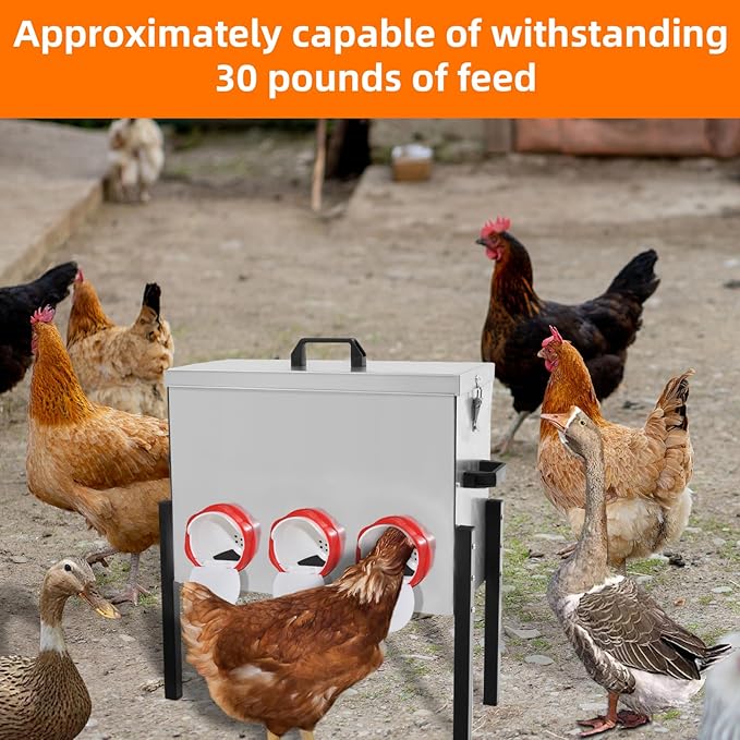 XKV Metal Automatic Chicken Feeder 30LBS with 6 Ports,Locking Lid and Legs,No Feed Waste,All Seasons Support,Weather-Resistantand Animal-Proof,Suitable for Chicken,Geese,Ducks,Turkeys,Quails