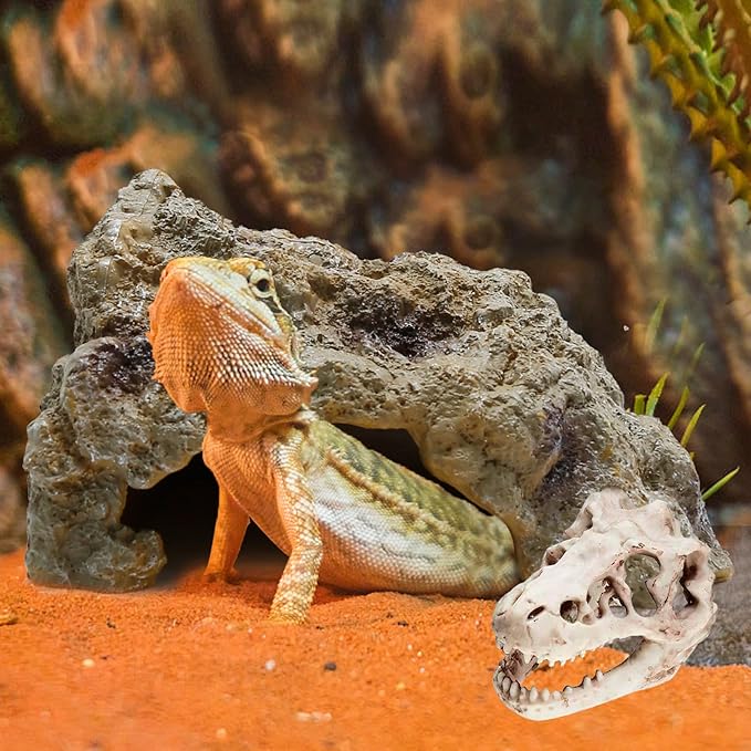 Anxingo Reptile Rock Reptile Cave Hideout for Snakes/Geckos/Lizards/Turtles and Other Amphibians, with Dinosaur Skull (Small)