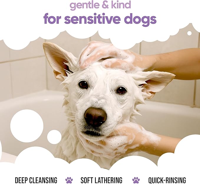 White Dog Shampoo by Buddycare | Dry Skin & Itchy Skin Relief for Smelly Dogs | Deep Cleansing Shampoo for Dogs Puppy Sensitive Skin | Dog Shampoo & Conditioner | with Aloe & Vitamin B5 (16.90oz)