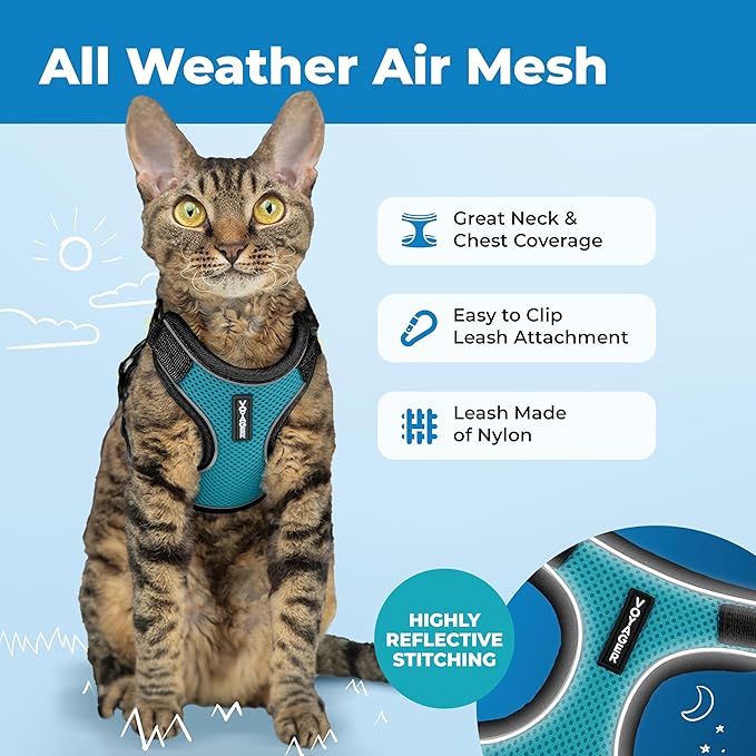 Voyager Escape Proof Cat Harness and Leash Set with Reflective Stitching, Neoprene Handle 5ft - Supports Small, Medium and Large Cats, Kittens for Walking by Best Pet Supplies - BT-Turquoise, XXS