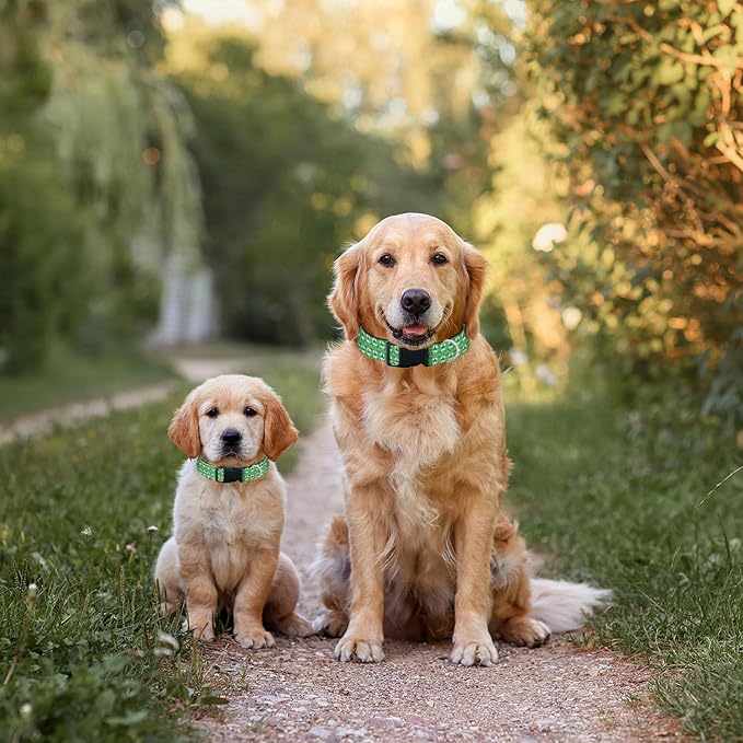 Green Shamrock Plaid Dog Collar St Patrick's Day Cat Big Neck Collars Soft for Small Extra Large Heavy Duty Pet Dogs