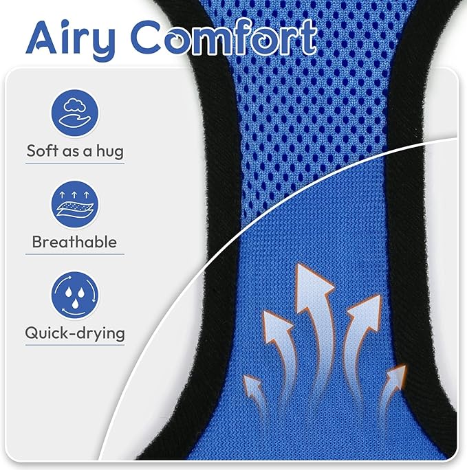 Dooradar Cat Harness and Leash Set, Escape Proof Safe Adjustable Kitten Vest Harnesses for Walking, Easy Control Soft Breathable Mesh Jacket with Reflective Strips for Cats, Blue, XXS