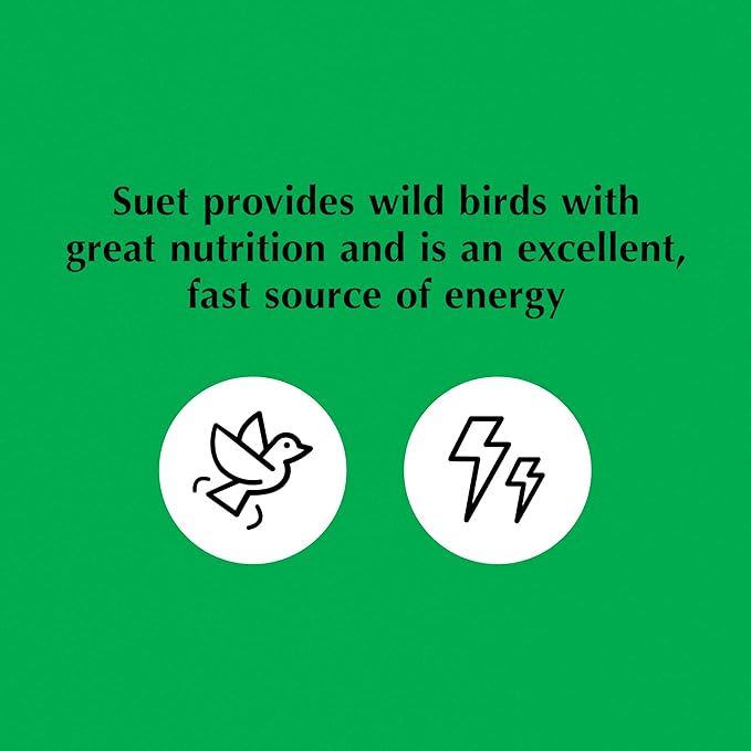 C&S Sunflower Suet Nuggets, Wild Birds Food For Woodpeckers, Chickadees, Nuthatches, and More, 8 Pounds