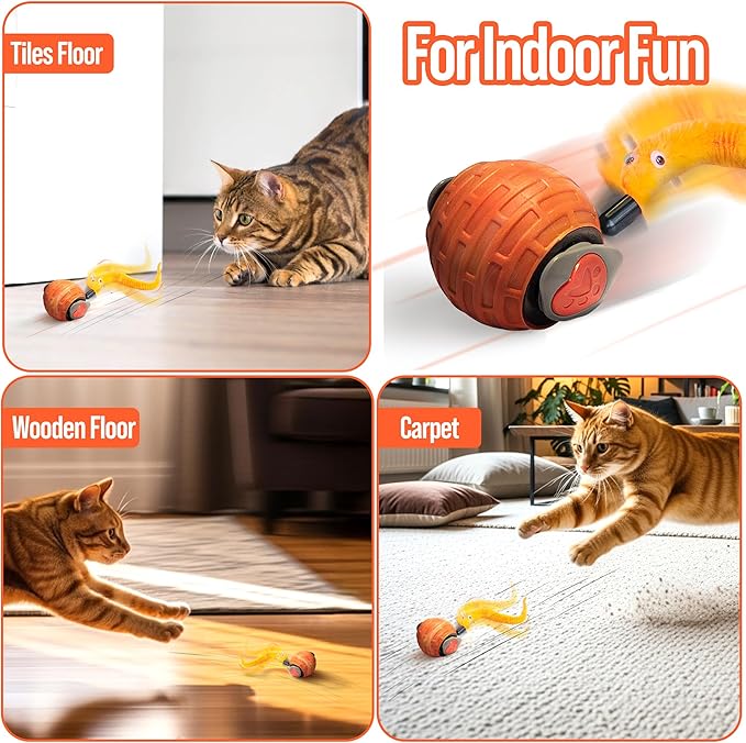 Motion Activated Self-Moving Cat Toy Ball – GlobalSun Speedy Tail 2.0 Automatic Rolling Ball Cat Toy with Mouse & Feather Tails, USB Rechargeable Interactive Toy for Indoor Cats